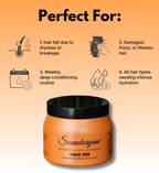 Saundaryam Hair Spa- Hair Mask For Hair Fall