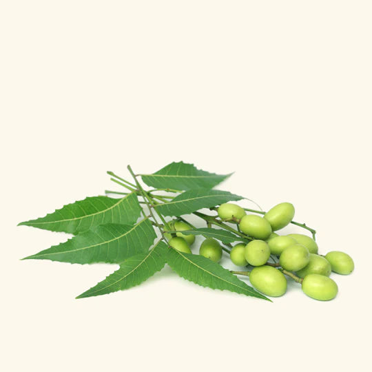 Neem
