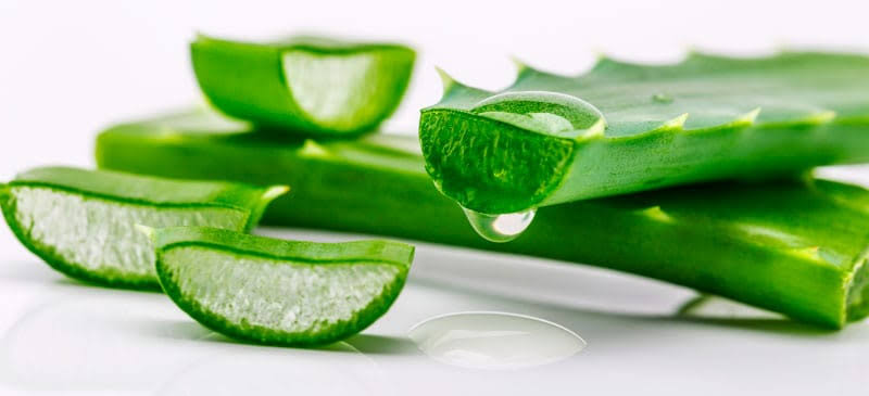 Aloevera